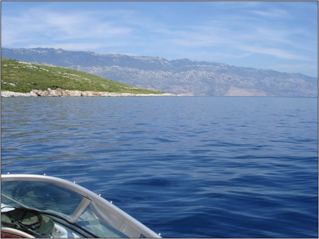 dsc03437.jpg