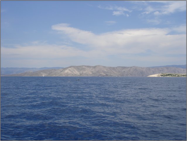 dsc03472.jpg