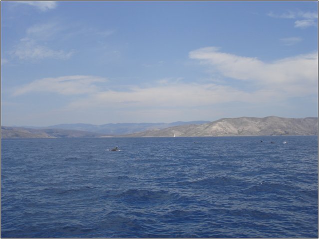 dsc03473.jpg