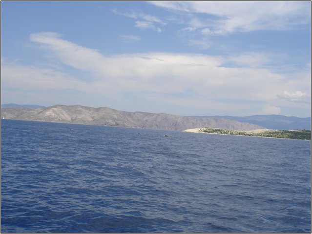 dsc03474.jpg