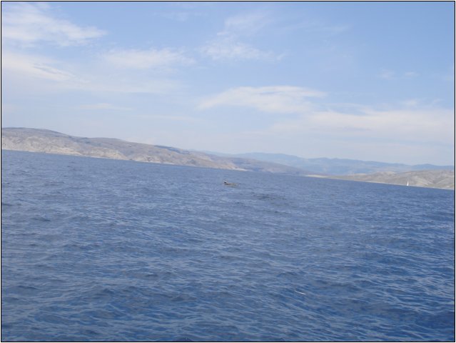 dsc03476.jpg