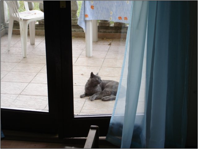 dsc03486.jpg