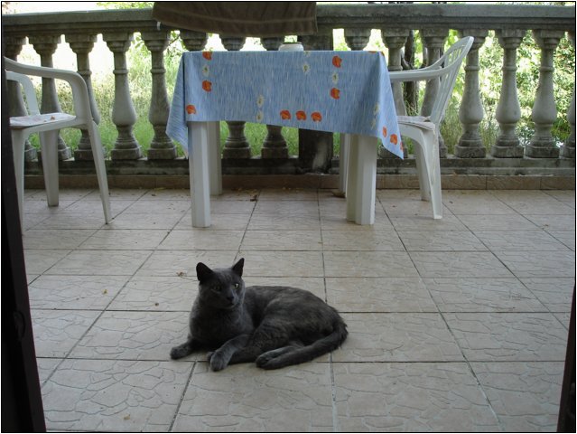 dsc03488.jpg
