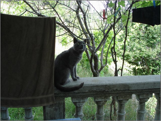 dsc03489.jpg