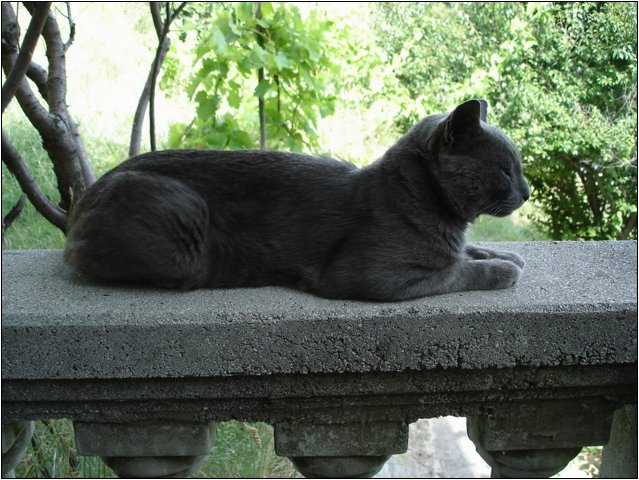 dsc03492.jpg
