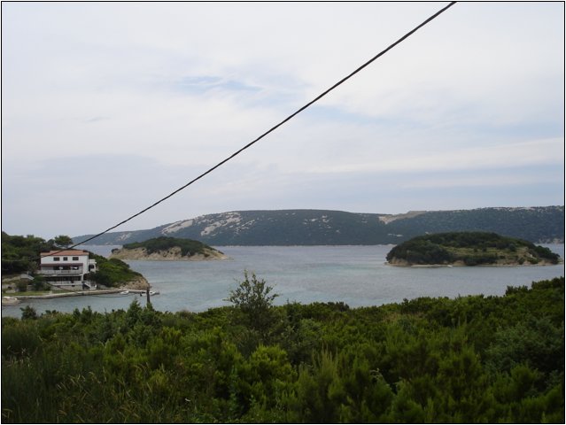dsc03501.jpg