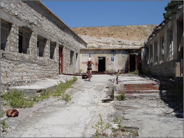 dsc03610.jpg
