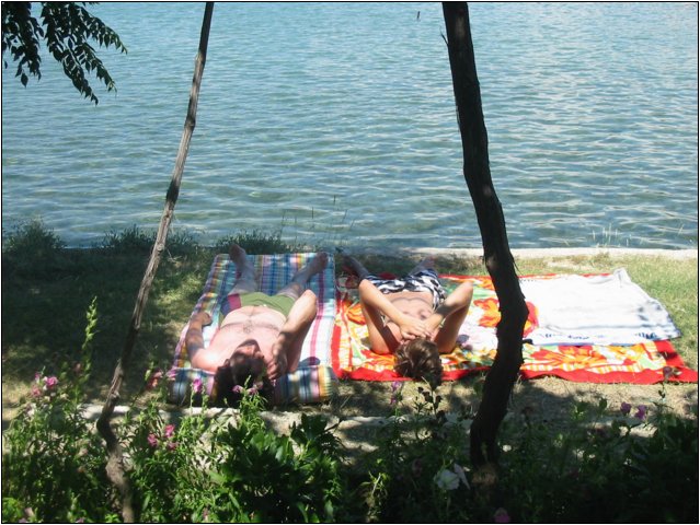 img_7780.jpg